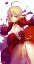 Fate/stay night【セイバー・ブライド,セイバー（Fate/EXTRA）】武内崇,iPhone6 PLUS（1080×1920） #53773