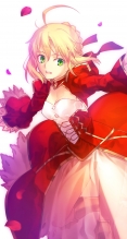 Fate/stay night,Fate/EXTRA【セイバー・ブライド,セイバー（Fate/EXTRA）】,武内崇,iPhone6 PLUS（1080×1920） #53819