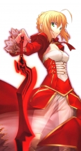 Fate/stay night,Fate/EXTRA【セイバー・ブライド,セイバー（Fate/EXTRA）】iPhone6 PLUS（1080×1920） #54501