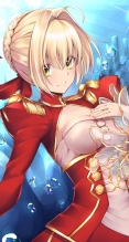 Fate/stay night, Fate/EXTRA【セイバー・ブライド,セイバー（Fate/EXTRA）】iPhone6 PLUS（1080×1920） #83479