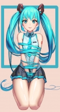 ボーカロイド【初音ミク】iPhone6 PLUS（1080 x 1920） #96542