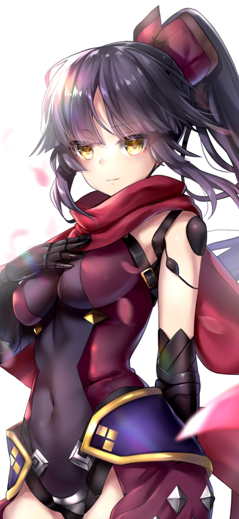 Fate Grand Order Fate Stay Night 加藤段蔵 Iphone Xs Max 1242 X 26 壁紙 Wallpaperboys Com