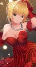Fate/Grand Order,Fate/stay night【セイバー・ブライド,セイバー（Fate/EXTRA）】iPhone XS MAX（1242 x 2688） #152135