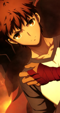 Fate Stay Night セイバー ギルガメッシュ アーチャー Iphone5 744 1392 壁紙 Wallpaperboys Com